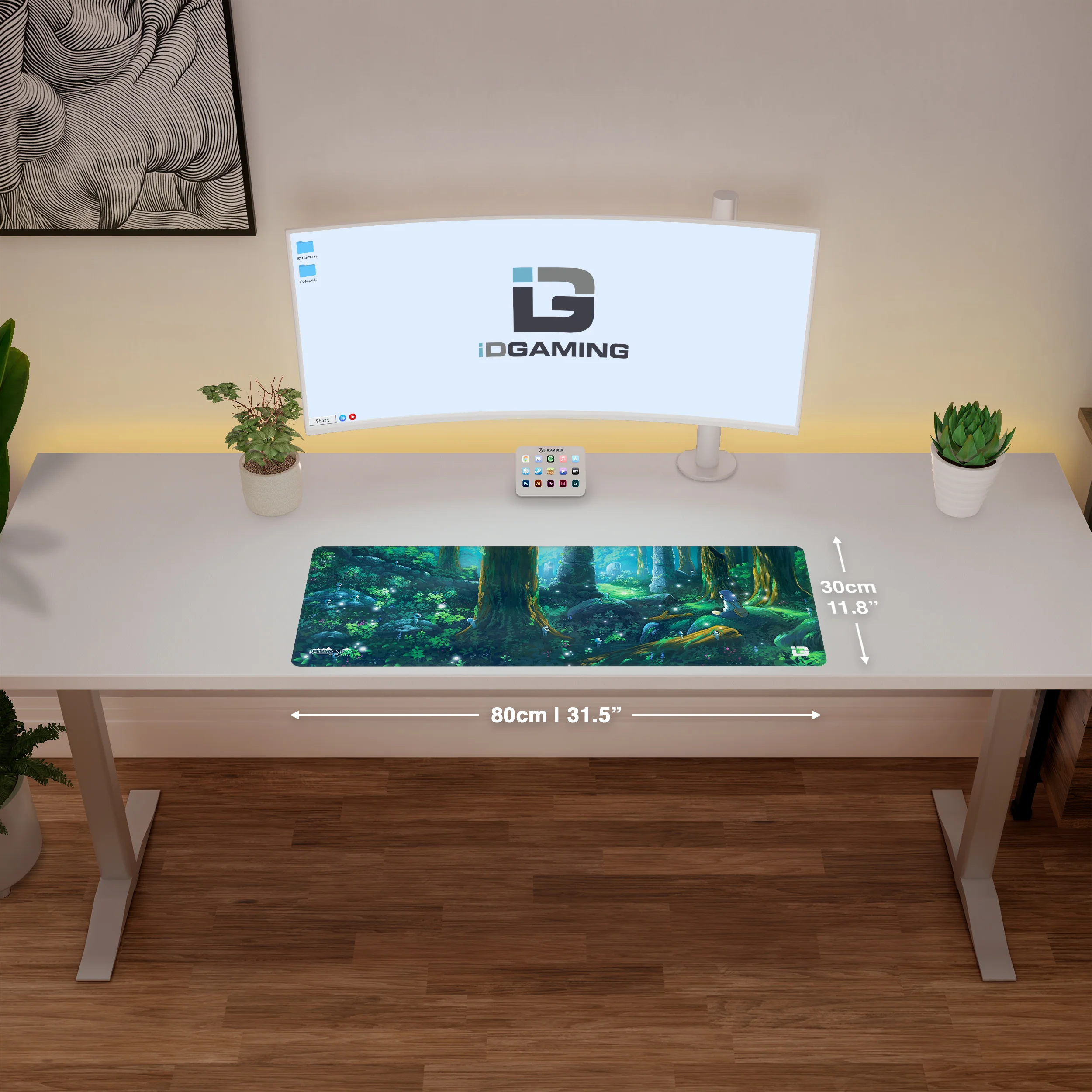 Ancient Kodamas Forest - Image 9
