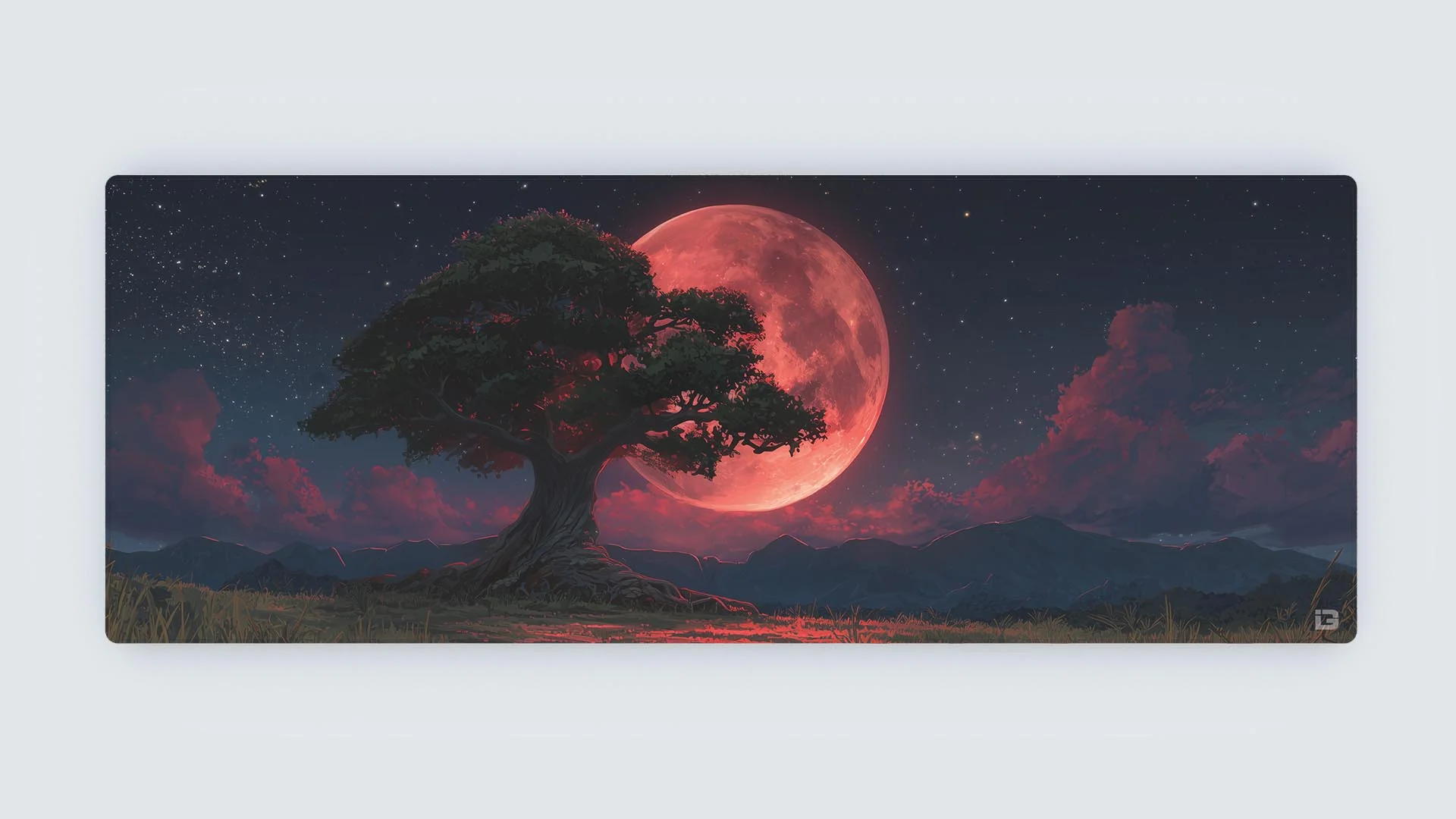 Ancient Tree - Image 19