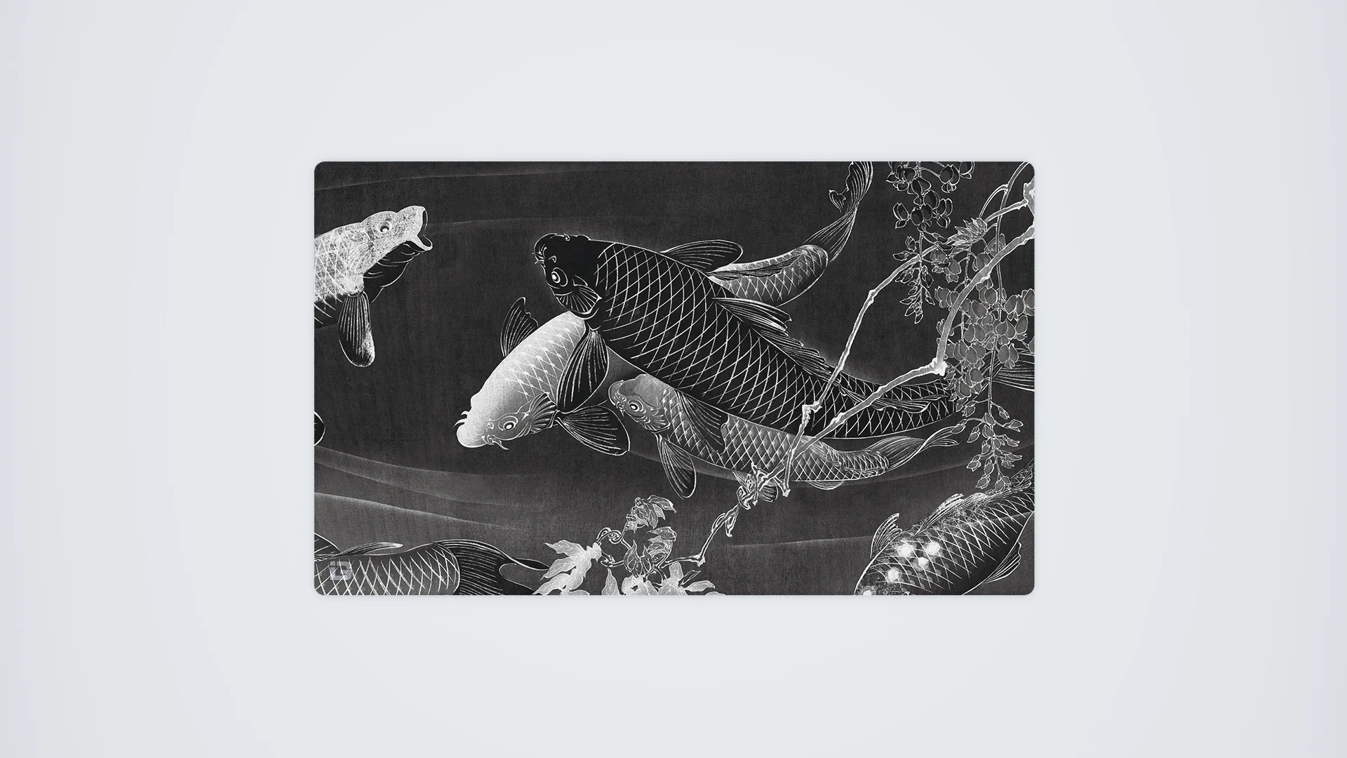 Midnight Kois - Image 17