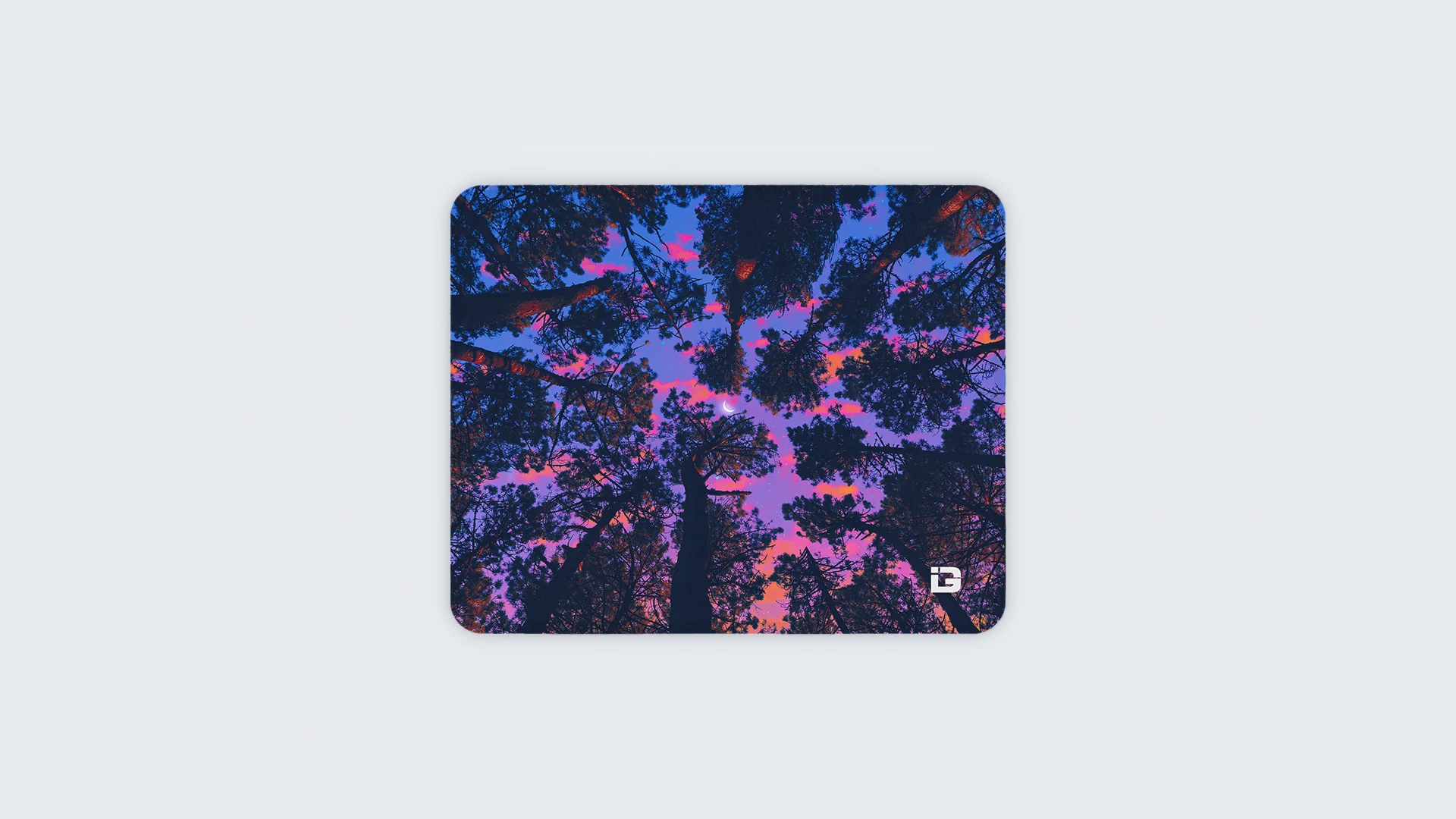 Forest Views - Image 4