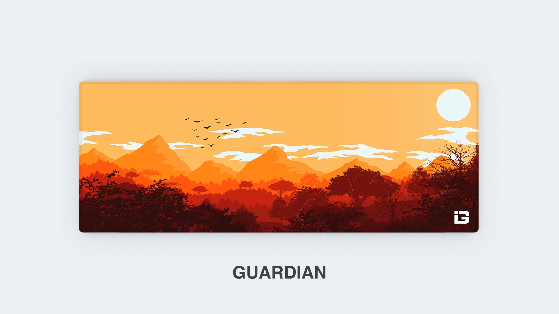 Gulls - Sunrise - Image 10