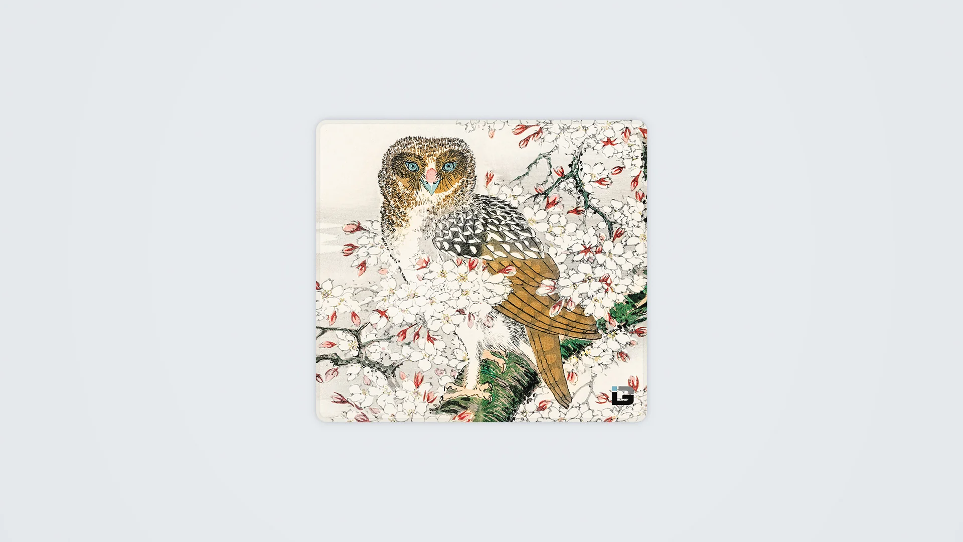 The Owl - Image 10