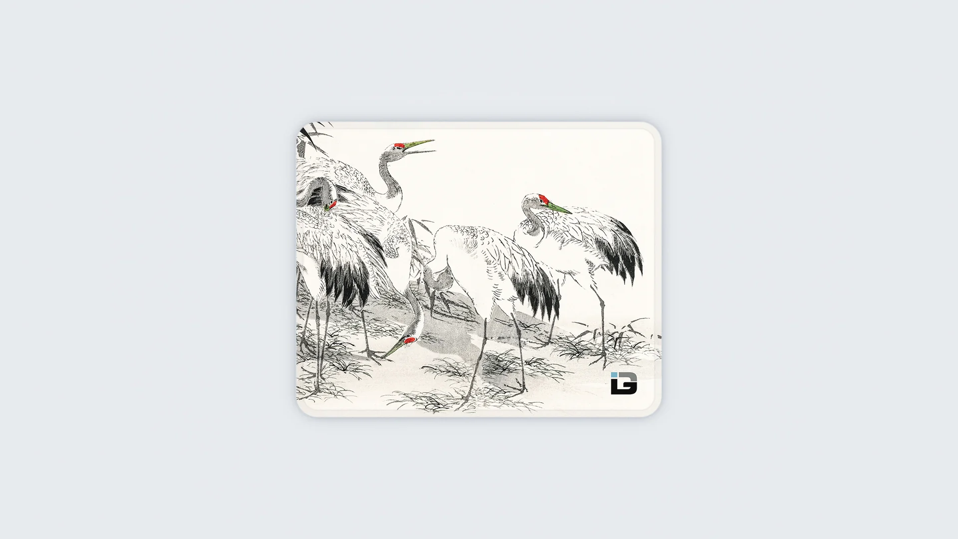 White Cranes - Image 4